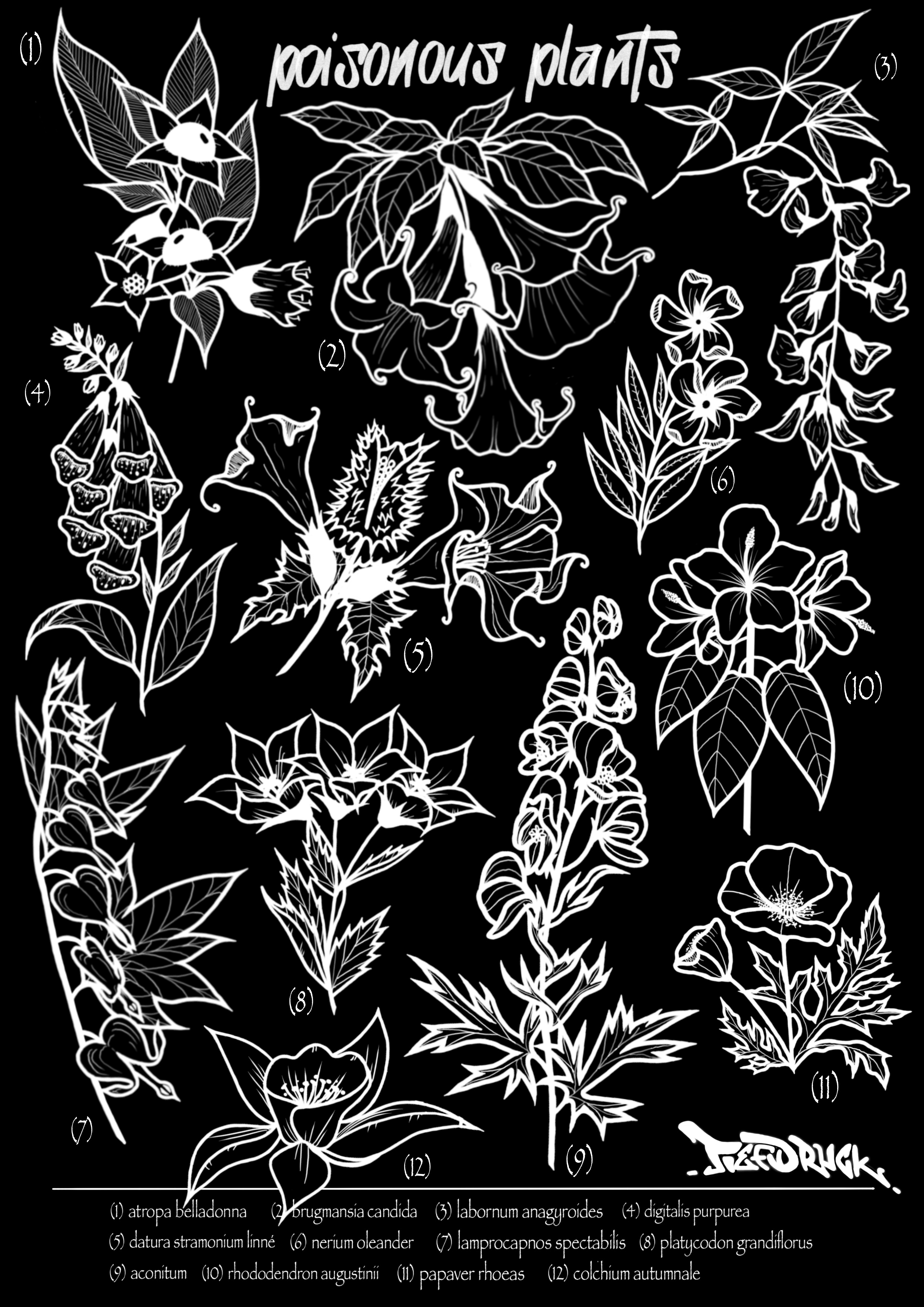 Poison Flowers